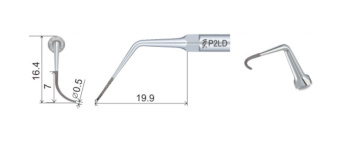 P2LD_1