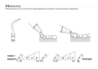 P4_2