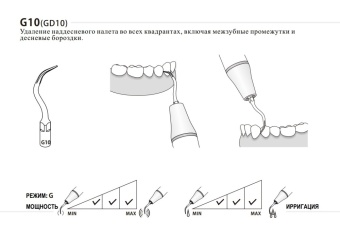 G10