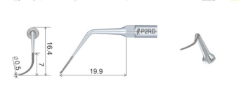 P2RD_1